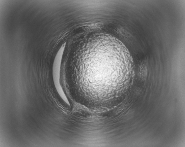 X0000053100715200507251631