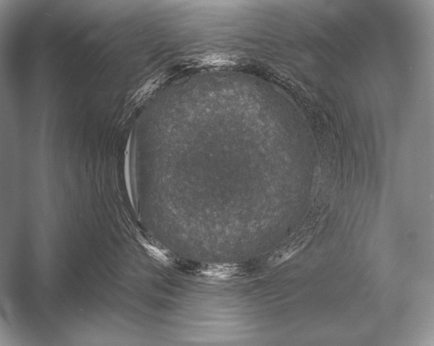 X0000053100720200507251631
