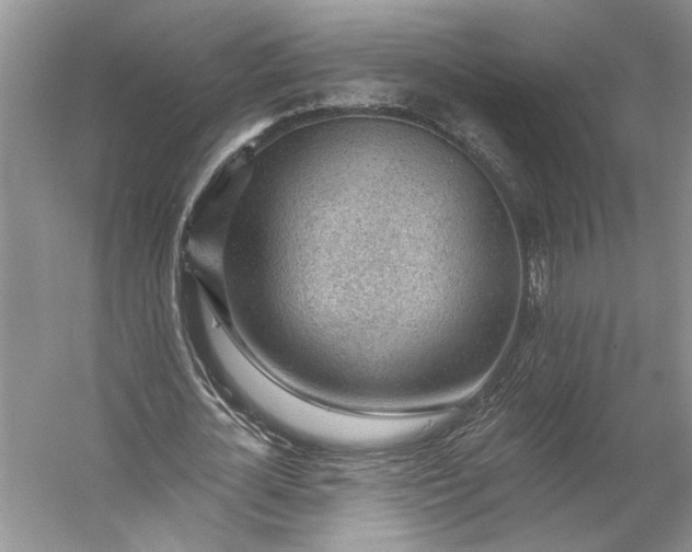 X0000053100724200507251630