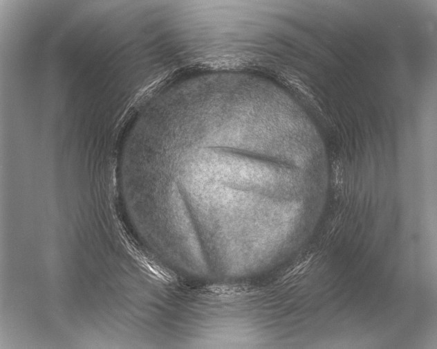X0000053100733200507251630