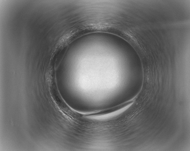 X0000053100736200507251630