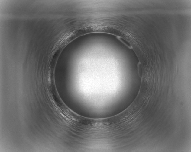 X0000053100740200507251630