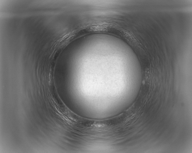 X0000053100741200507251630