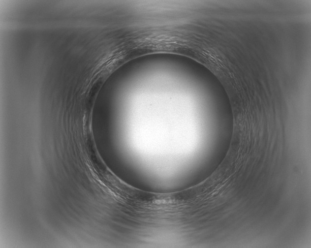 X0000053100744200507251630