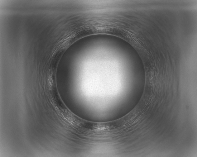 X0000053100746200507251630