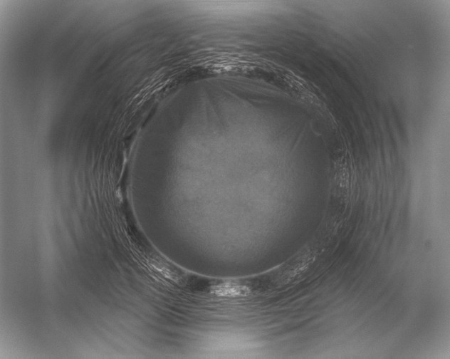 X0000053100754200507251630