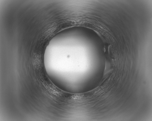 X0000053100756200507251630