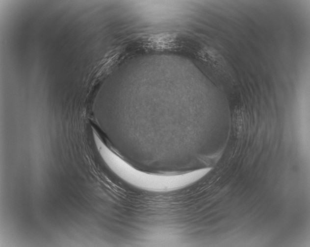 X0000053100760200507251630