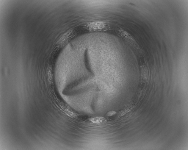 X0000053100761200507251630