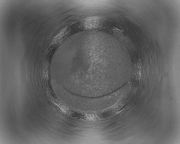 X0000053100762200507251630