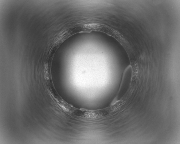 X0000053100764200507251631