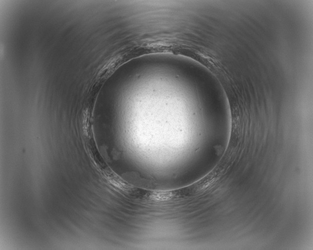 X0000053100767200507251631