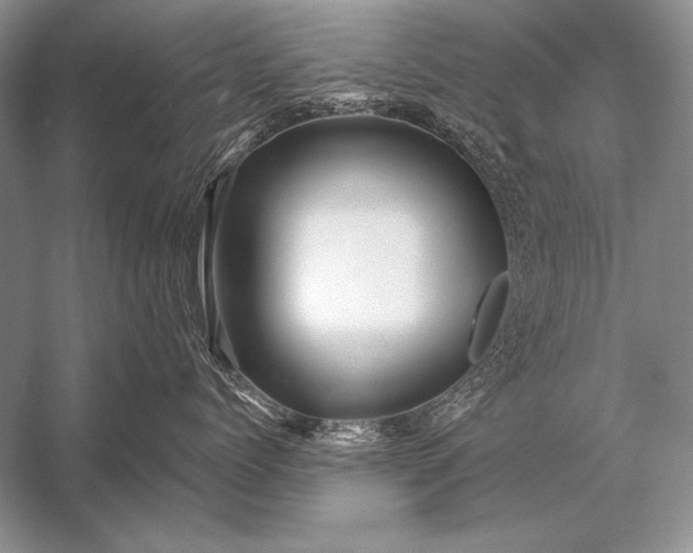 X0000053100768200507251631