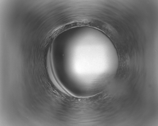 X0000053100773200507251630