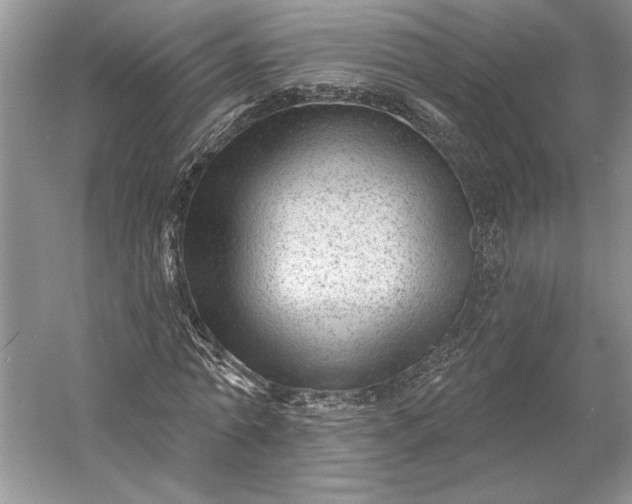 X0000053100774200507251630