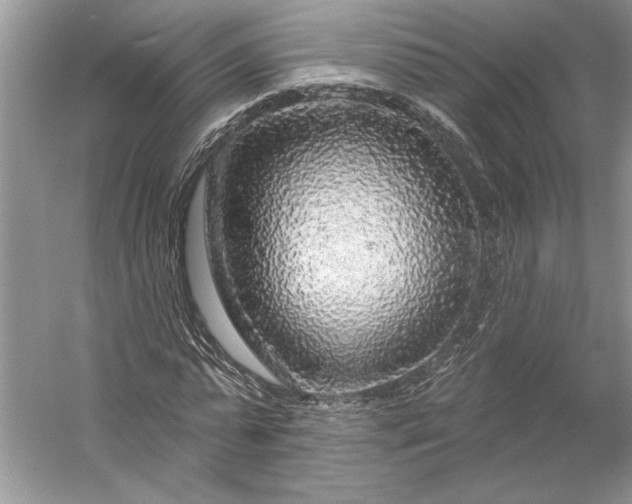 X0000053100775200507251630