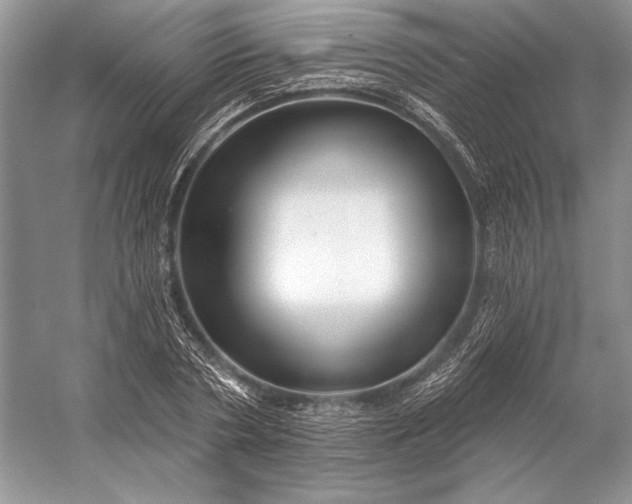 X0000053100786200507251629