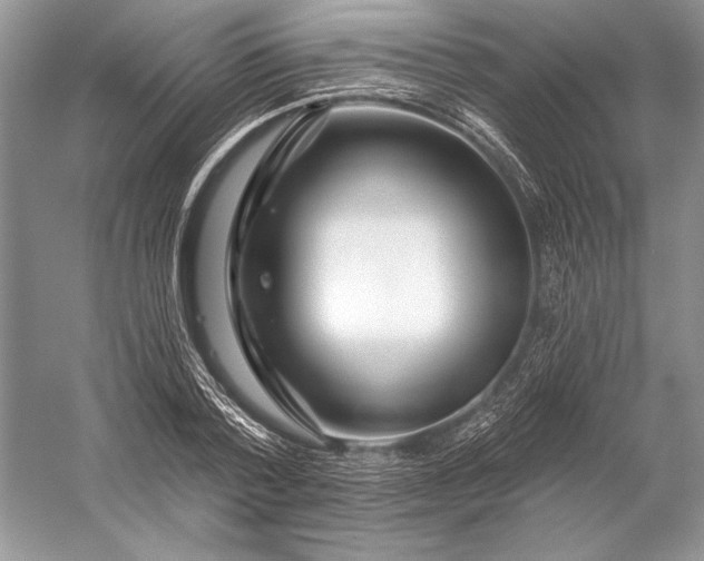 X0000053100788200507251629