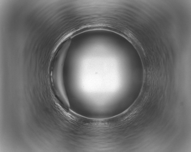 X0000053100789200507251629