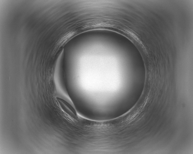 X0000053100793200507251629