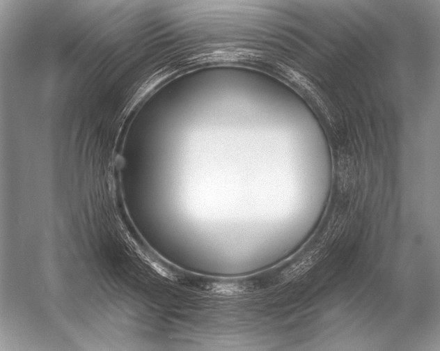 X0000053100794200507251629