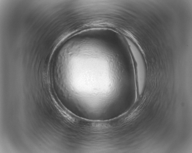 X0000053100795200507251629