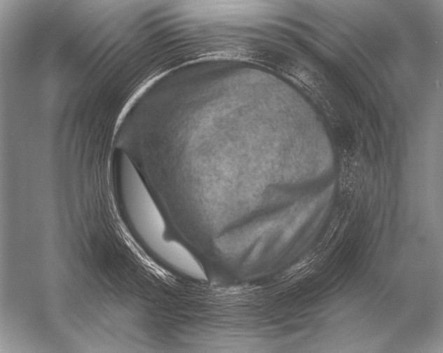 X0000053100796200507251629