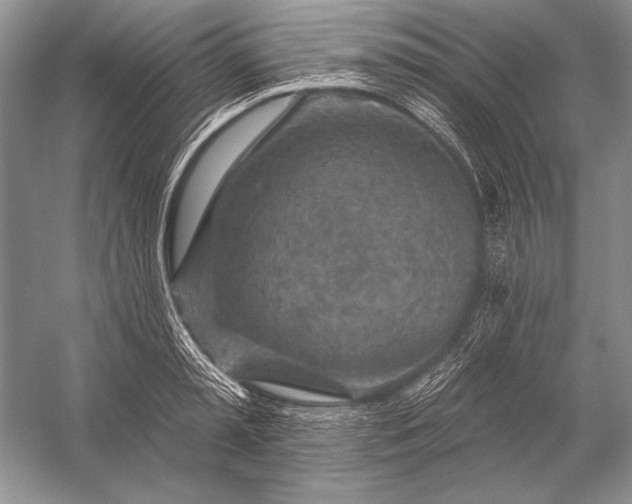 X0000053100797200507251629
