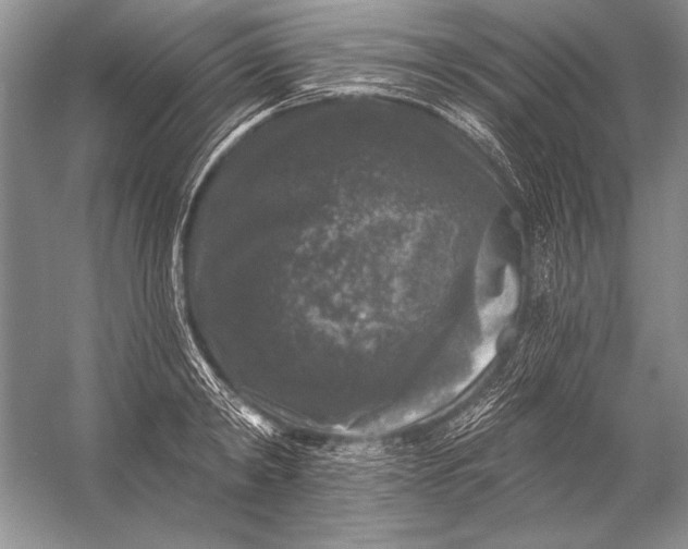 X0000053100798200507251629