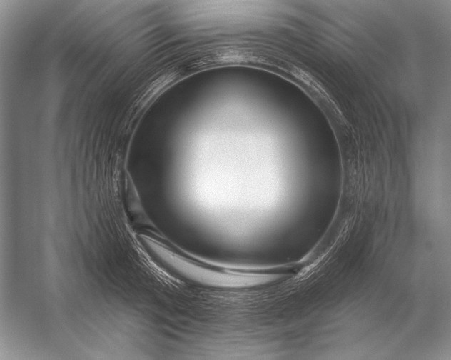 X0000053100801200507251629