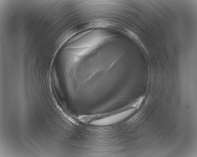 X0000053100802200507251629