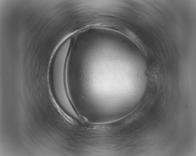 X0000053100803200507251629