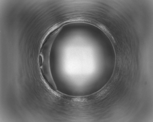 X0000053100805200507251629