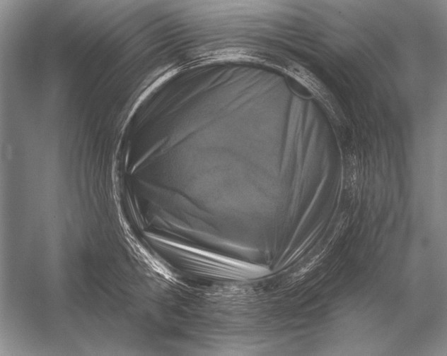X0000053100806200507251629