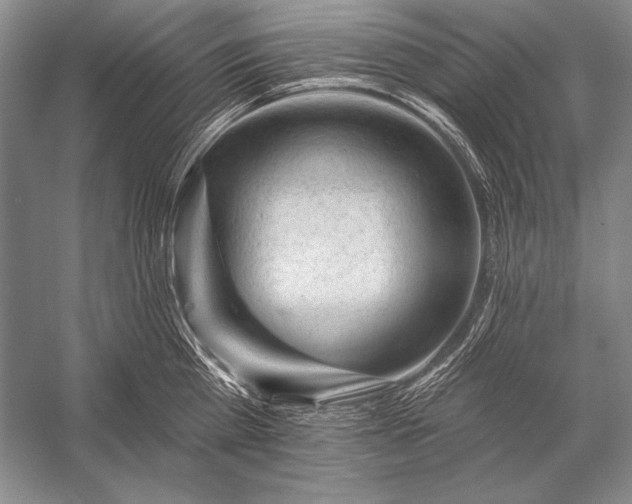 X0000053100809200507251629