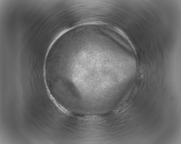 X0000053100811200507251629