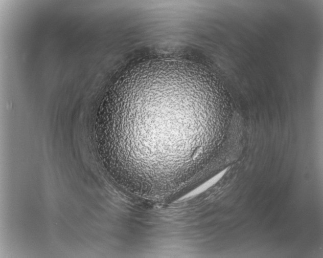 X0000053100817200507251628
