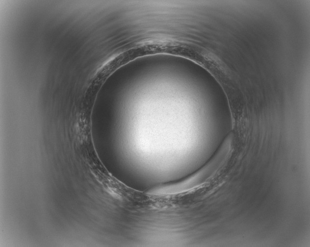 X0000053100822200507251628