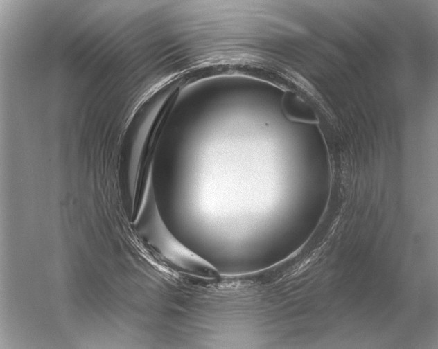 X0000053100826200507251628