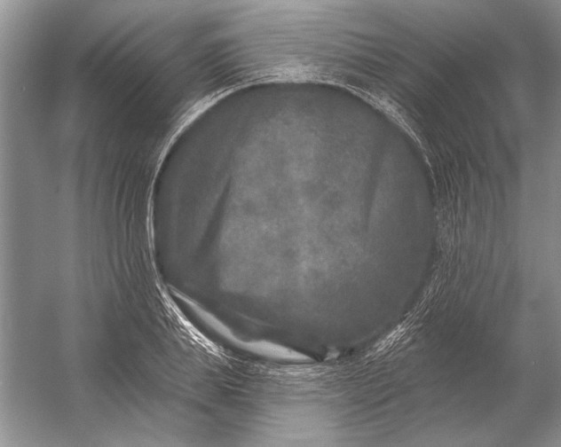 X0000053100839200507251629