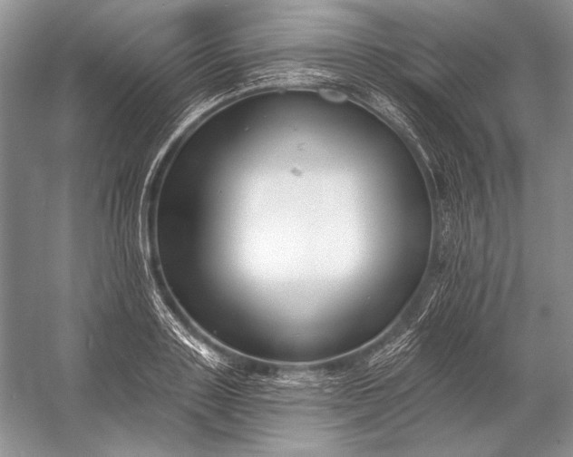 X0000053100843200507251629
