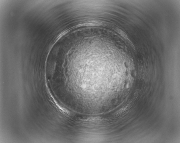 X0000053100845200507251629