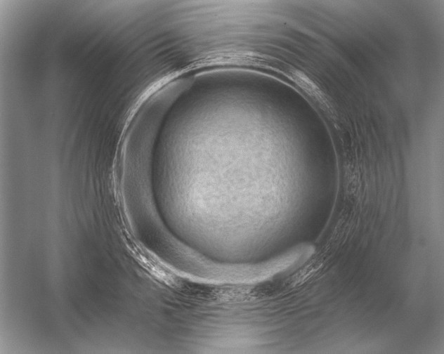 X0000053100846200507251629