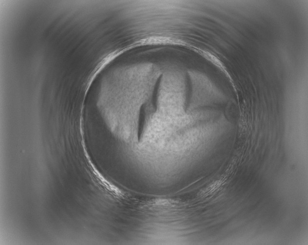 X0000053100847200507251629