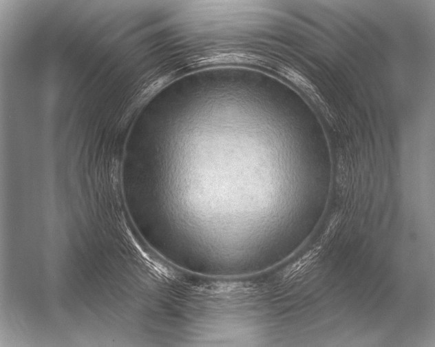 X0000053100849200507251629
