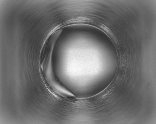 X0000053100850200507251629