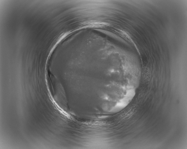 X0000053100851200507251629