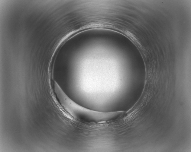 X0000053100854200507251629