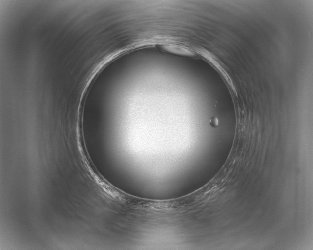 X0000053100861200507251629