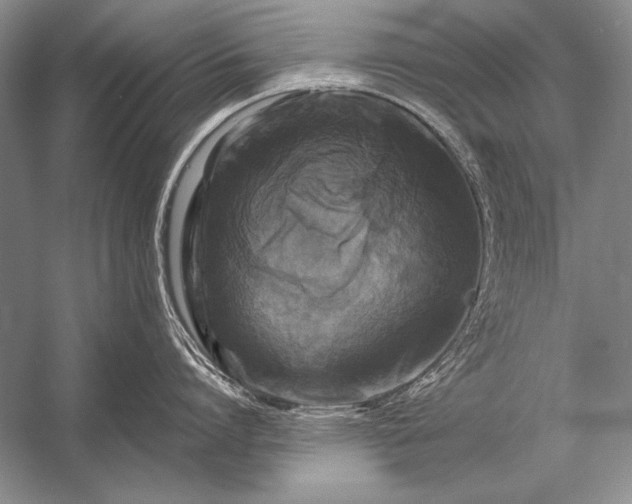 X0000053100864200507251629